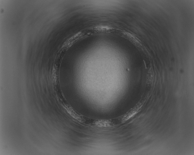 X0000062600762200601110942