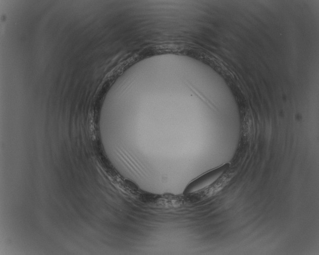 X0000062600764200601110942