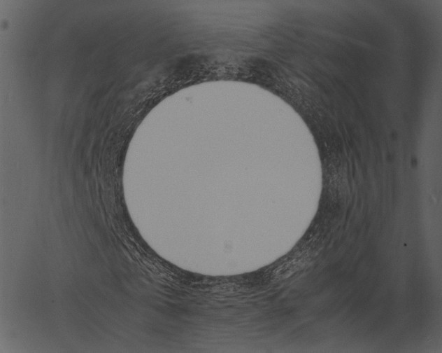 X0000062600769200601110942