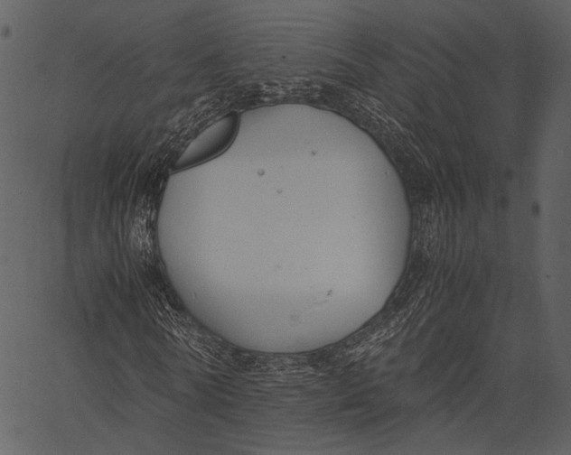X0000062600770200601110942