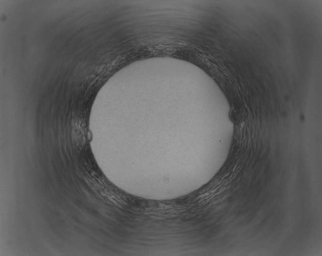 X0000062600772200601110942