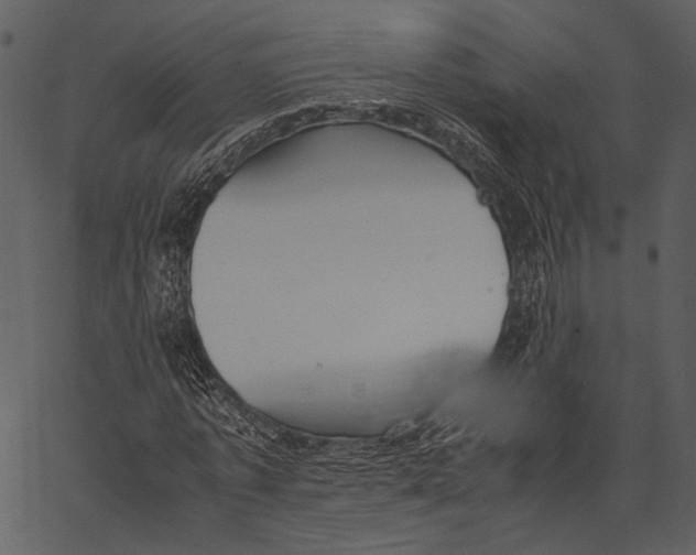 X0000062600773200601110942