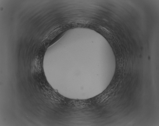 X0000062600774200601110942
