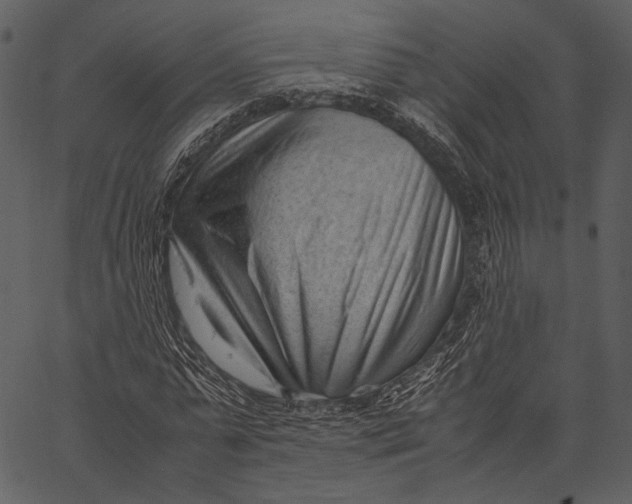 X0000062600775200601110941