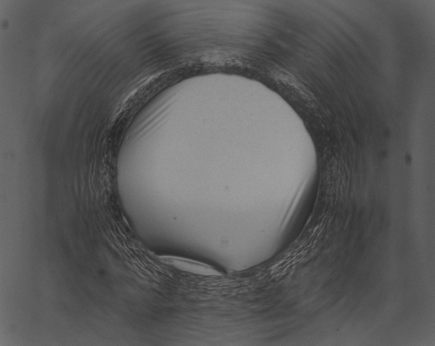 X0000062600776200601110941