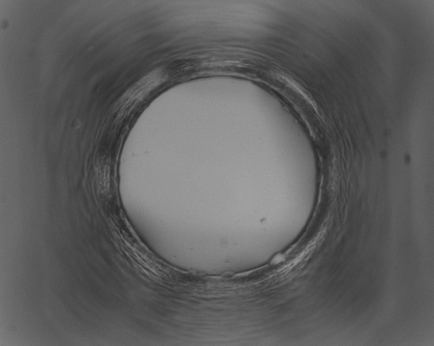 X0000062600777200601110941