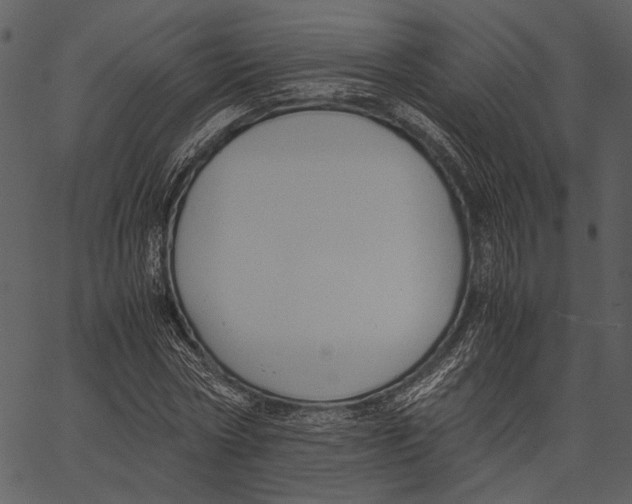 X0000062600778200601110941