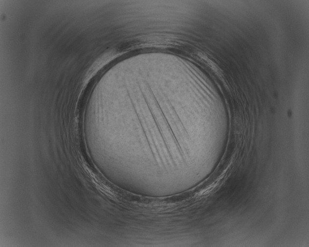 X0000062600779200601110941