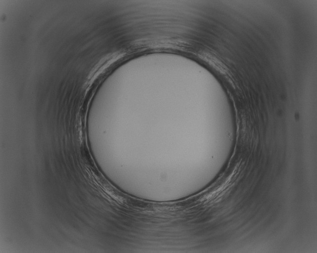 X0000062600782200601110941