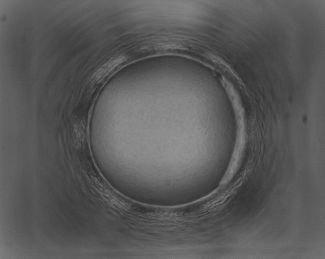 X0000062600785200601110941