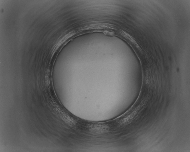 X0000062600786200601110941
