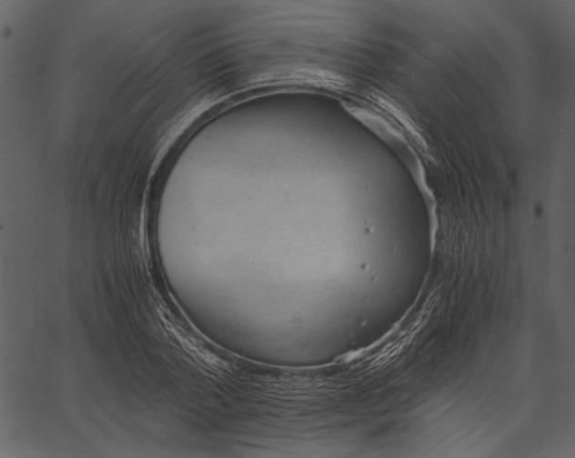X0000062600788200601110941