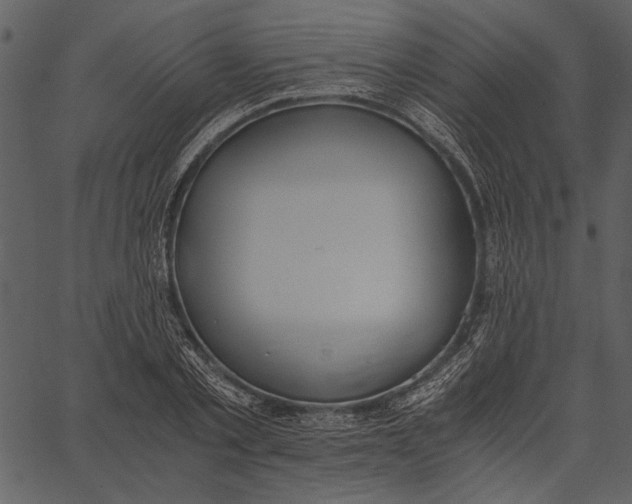 X0000062600789200601110941