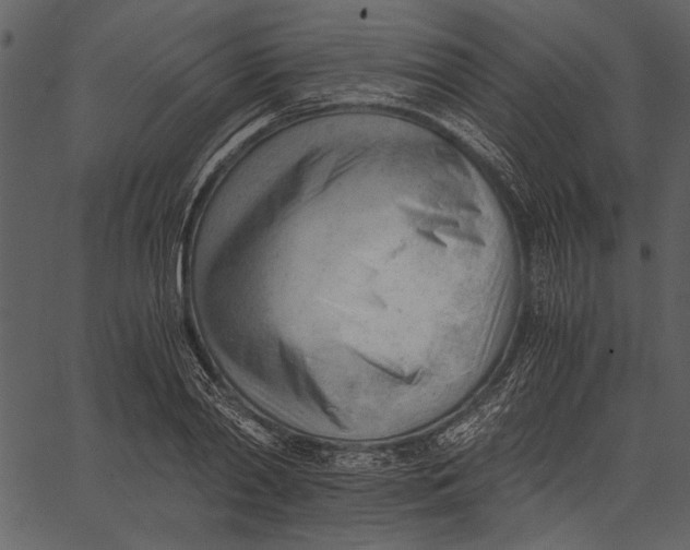 X0000062600790200601110941