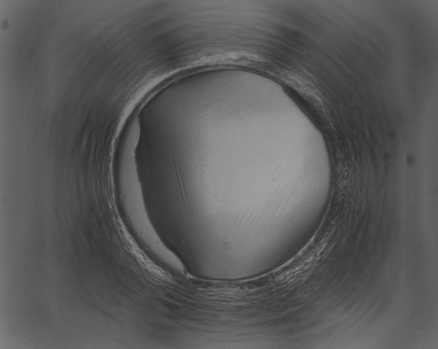 X0000062600792200601110941