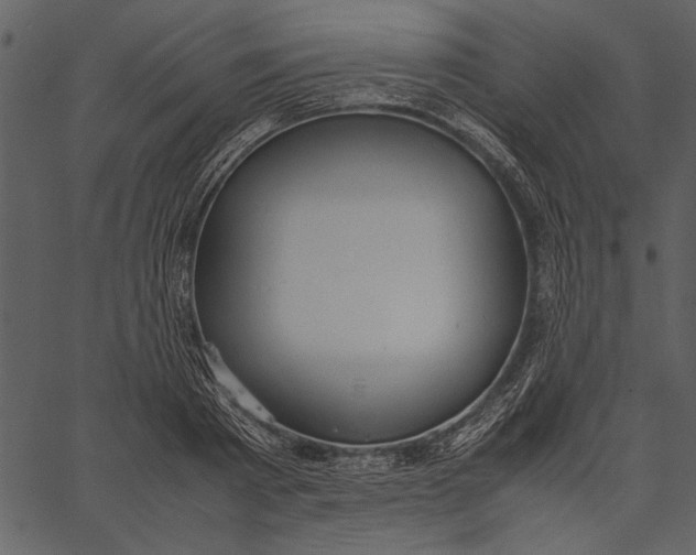 X0000062600793200601110941