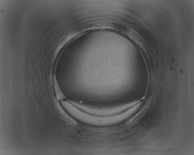 X0000062600797200601110941