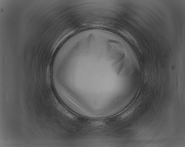 X0000062600798200601110941