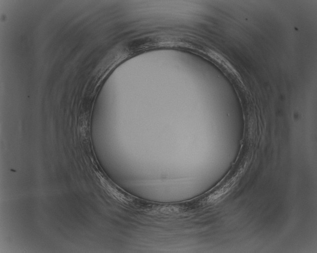 X0000062600801200601110941