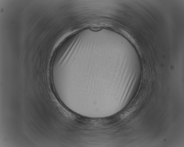 X0000062600803200601110941