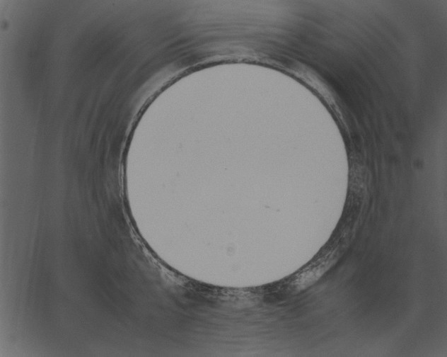 X0000062600807200601110941