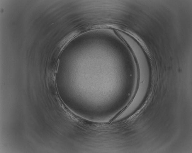 X0000062600809200601110941