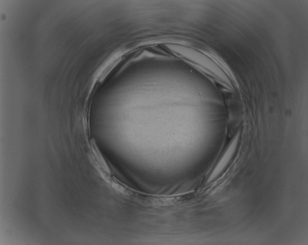 X0000062600813200601110941