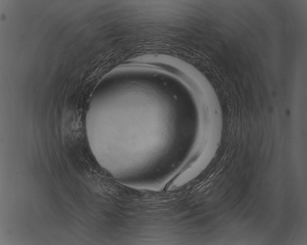 X0000062600818200601110940