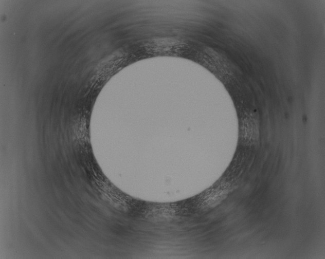 X0000062600820200601110940