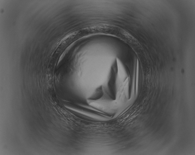 X0000062600822200601110940