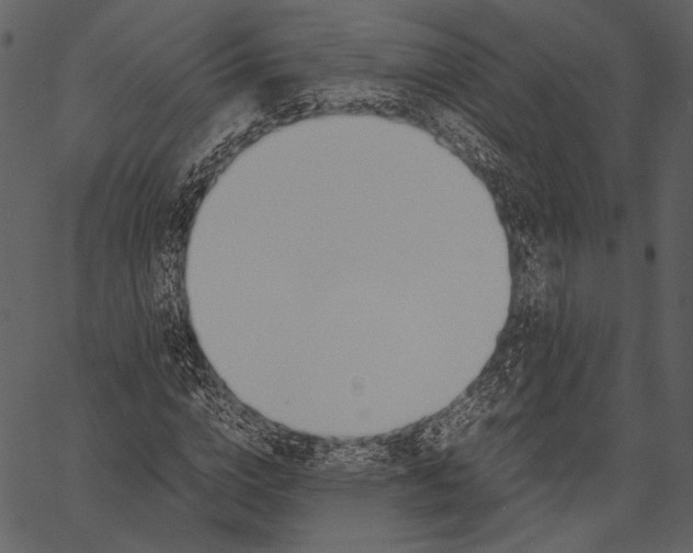 X0000062600824200601110940