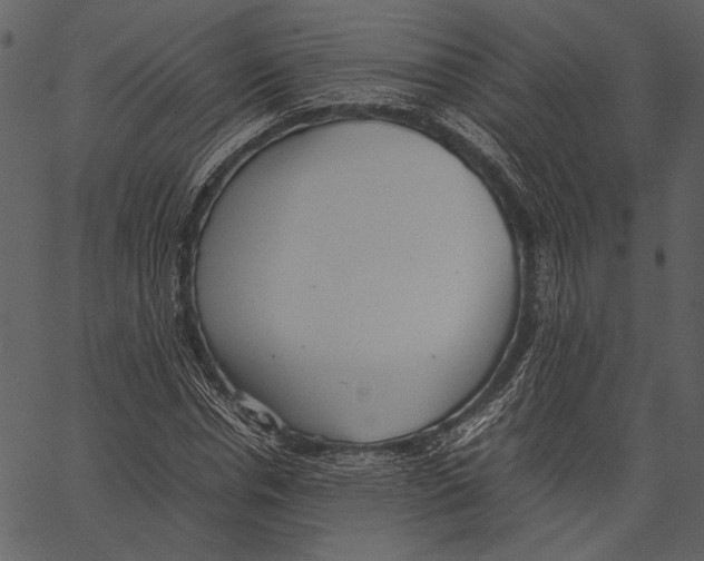 X0000062600826200601110940