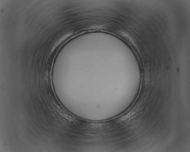 X0000062600827200601110940