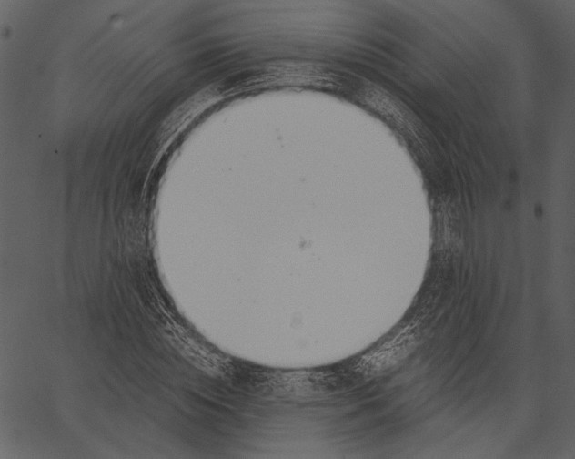 X0000062600828200601110940