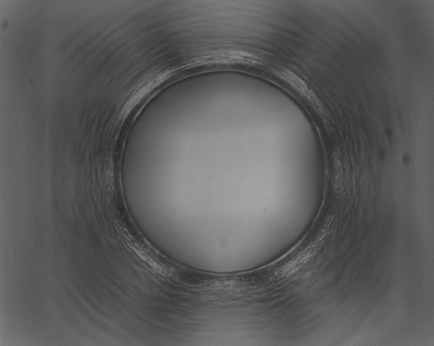 X0000062600834200601110940