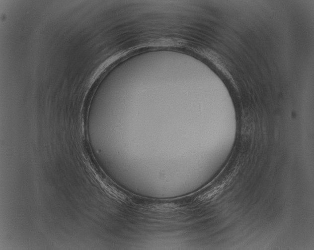 X0000062600837200601110940