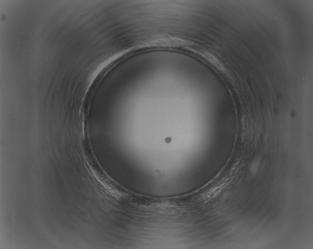 X0000062600838200601110940