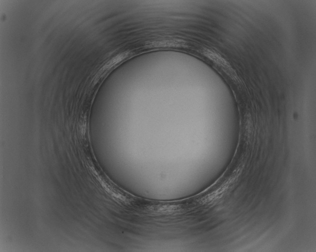 X0000062600841200601110940