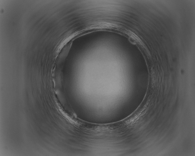 X0000062600842200601110940