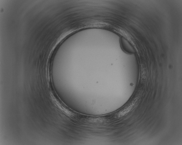 X0000062600843200601110940