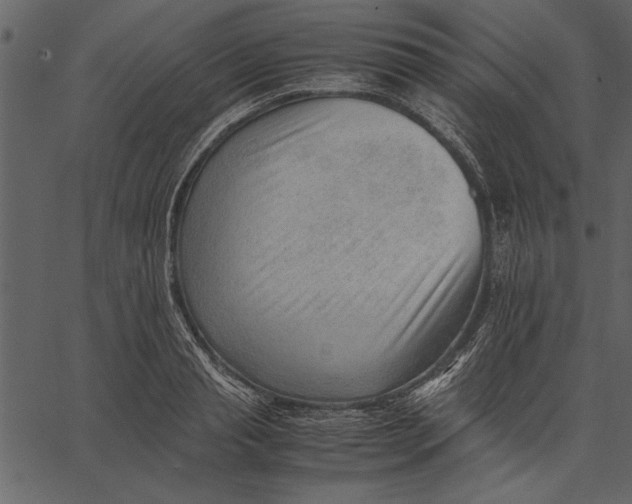 X0000062600845200601110940