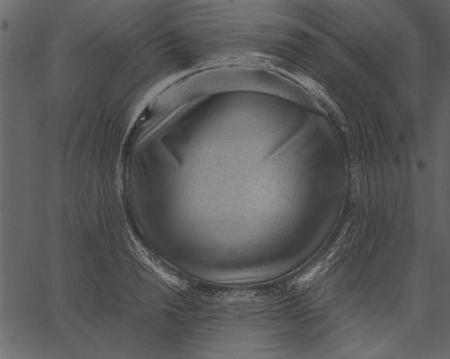 X0000062600846200601110940