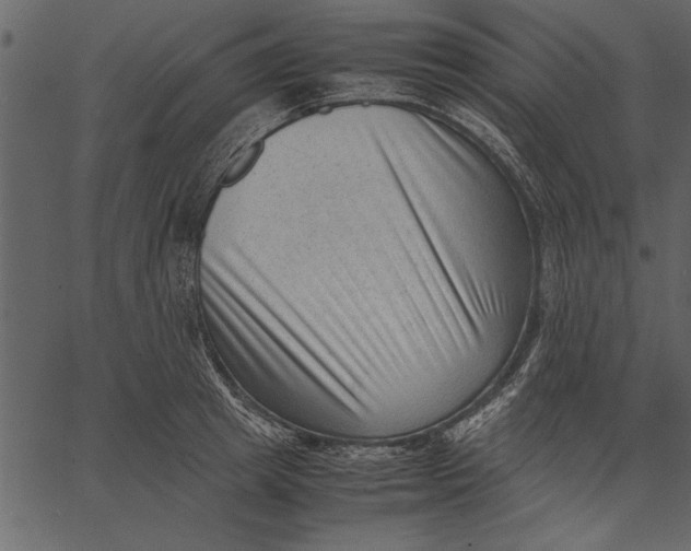 X0000062600849200601110941