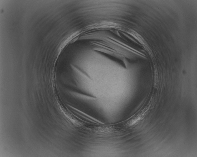 X0000062600850200601110941