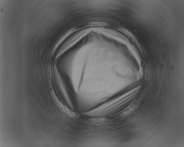 X0000062600859200601110941