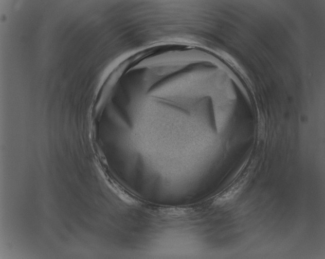 X0000062600862200601110941