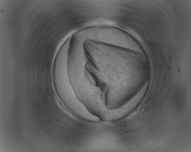 X0000062600864200601110941