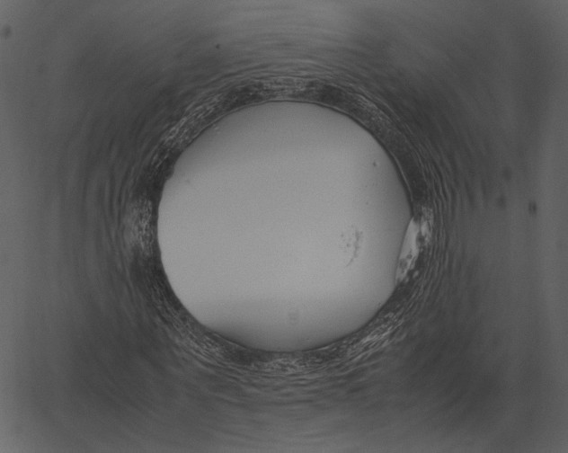 X0000062600867200601110940