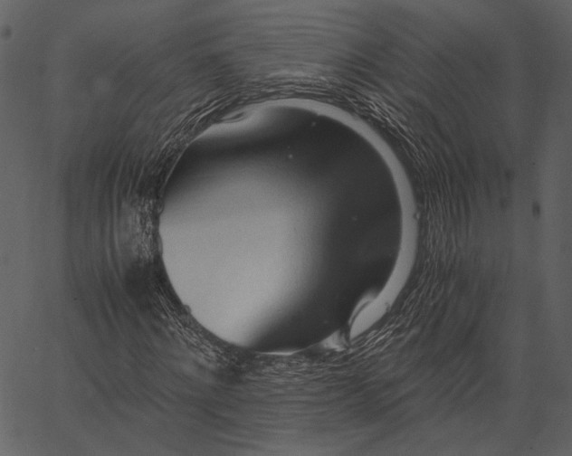 X0000062600868200601110940