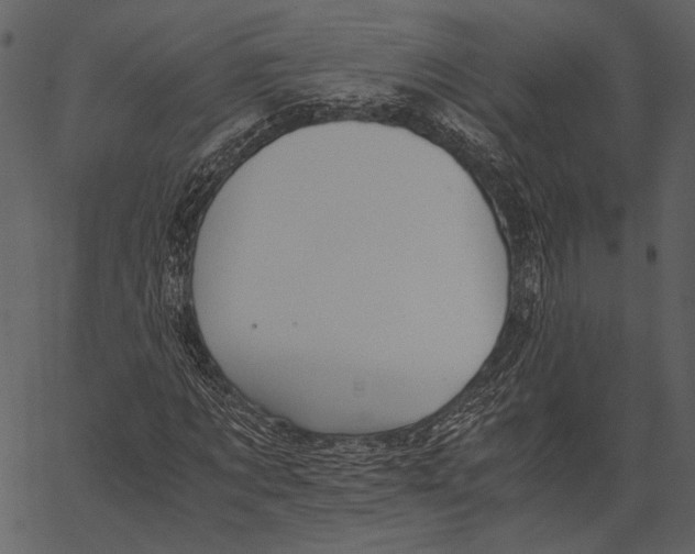 X0000062600869200601110940